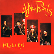 What's up ? - 4 Non Blondes