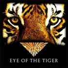 Eye of the tiger - Survivor