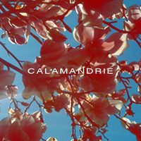 Calamandrie - Noviscore