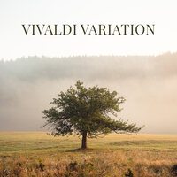 Vivaldi Variation - Florian Christl